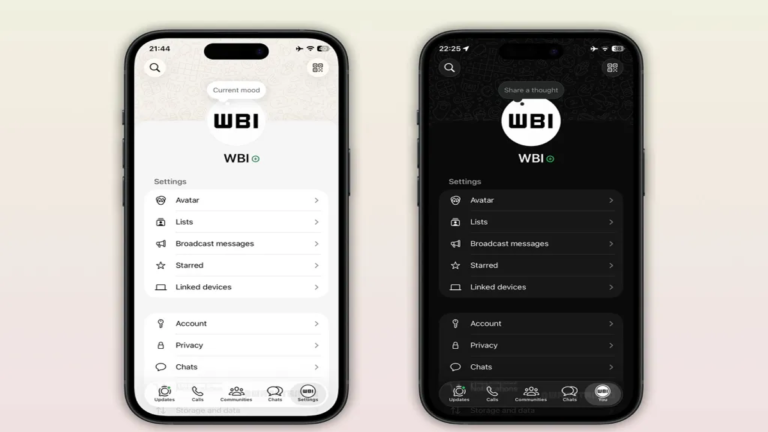 WhatsApp You Tab Feature Tamil